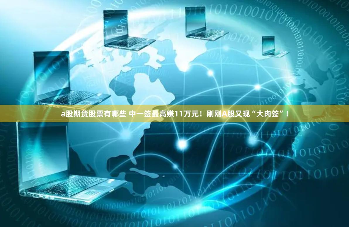 a股期货股票有哪些 中一签最高赚11万元！刚刚A股又现“大肉签”！