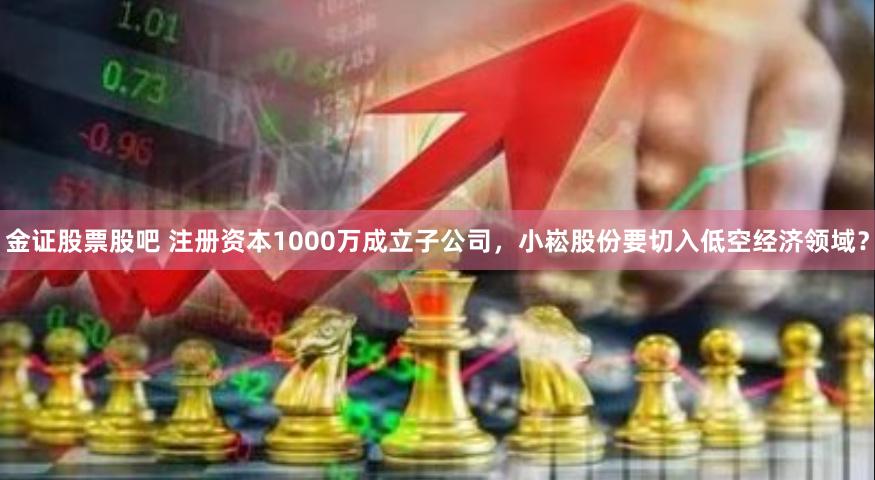 金证股票股吧 注册资本1000万成立子公司,小崧股份要切入低空经济领域?