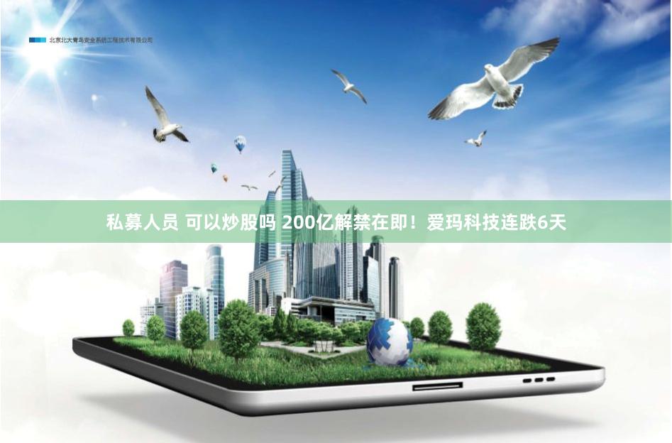 私募人员 可以炒股吗 200亿解禁在即！爱玛科技连跌6天