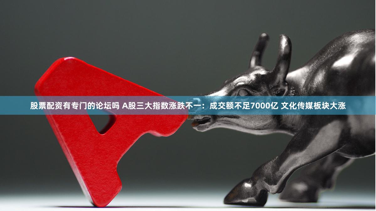 股票配资有专门的论坛吗 A股三大指数涨跌不一：成交额不足7000亿 文化传媒板块大涨