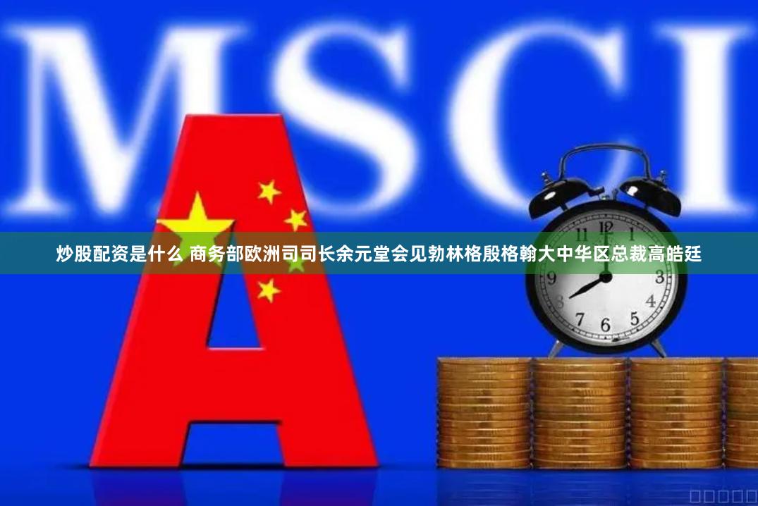 炒股配资是什么 商务部欧洲司司长余元堂会见勃林格殷格翰大中华区总裁高皓廷