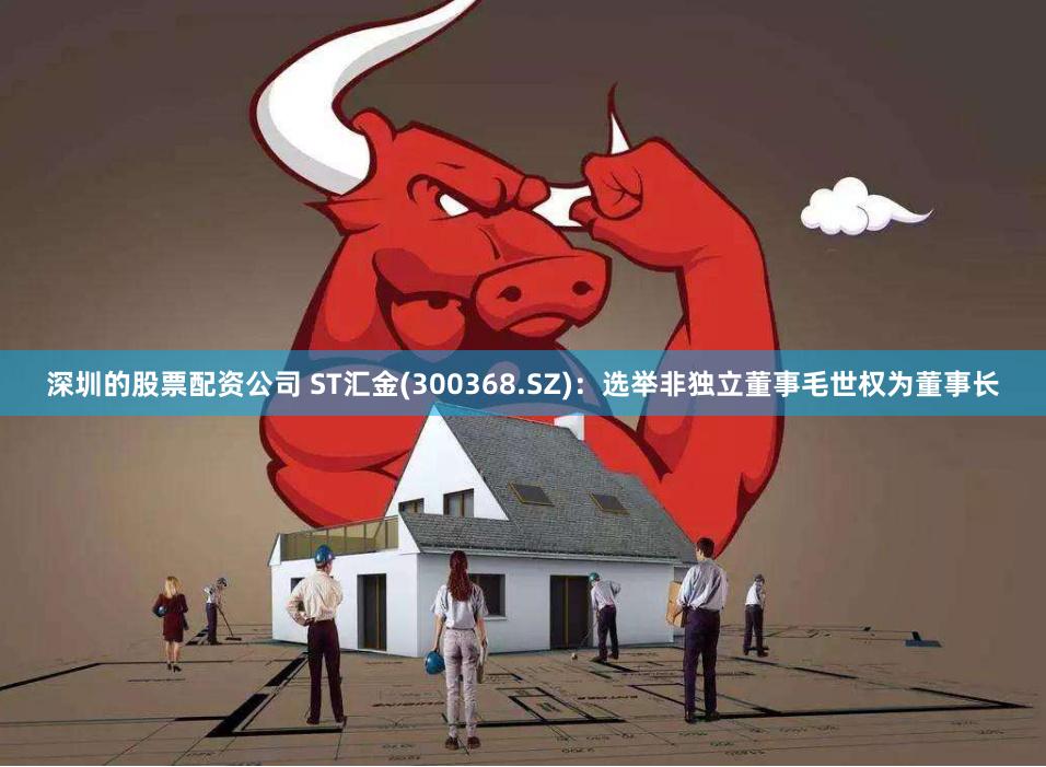 深圳的股票配资公司 ST汇金(300368.SZ)：选举非独立董事毛世权为董事长
