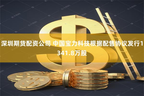 深圳期货配资公司 中国宝力科技根据配售协议发行1341.8万股