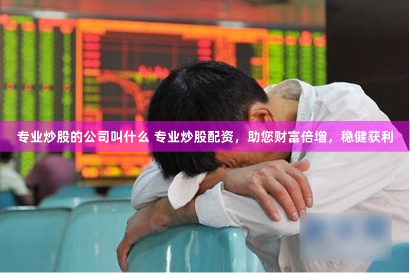 专业炒股的公司叫什么 专业炒股配资，助您财富倍增，稳健获利